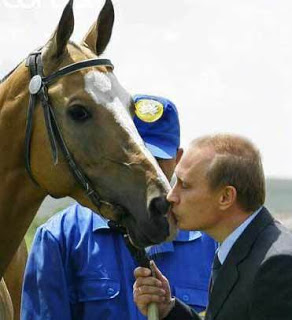 Putin Loves Horse